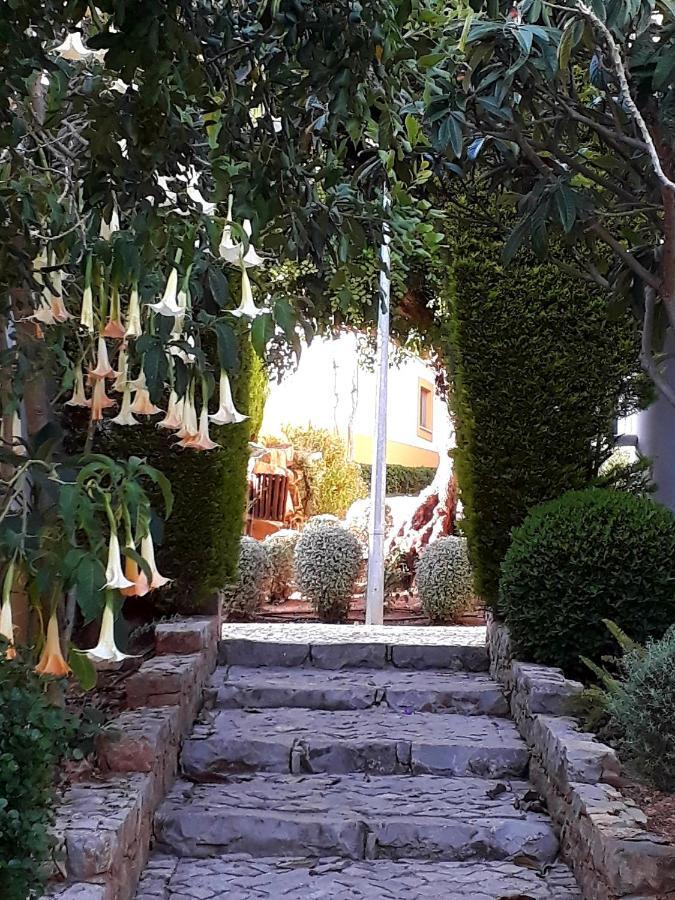 טאווירה Aparte Wohnung Mit Sudterrasse Am Park מראה חיצוני תמונה